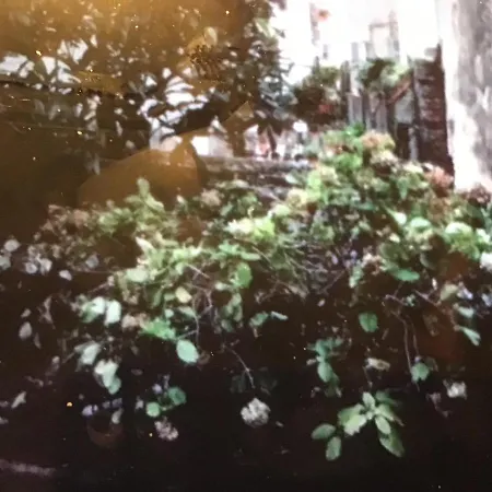 Cinque Terre Station House Apartamento